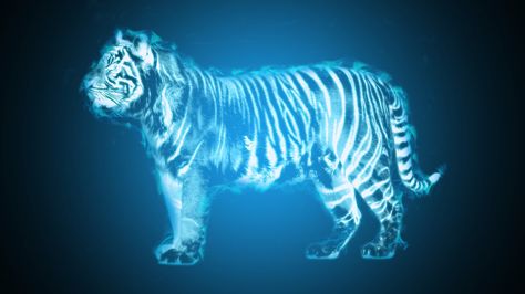 Tiger Blue Fire by Notbleedz ... Tiger Patronus Harry Potter, Nerd Tattoo, Tiger Wallpaper, Dnd Ideas, Blue Tiger, Easy Tiger, Blue Tigers, Tiger Art, Water Art