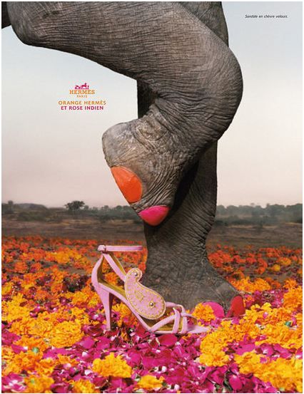 sweet :) Advertisements Ideas, Ad Inspiration, Logos Retro, Indian Pink, Advertising Posters, 광고 디자인, Hermes Orange, Creative Shoes, Publicidad Creativa