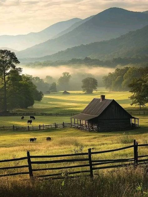 Beautifull Tennessee & Great Smoky Mountains | Cades Cove, Tennessee | Facebook Rectangular House Design, Rectangular House, Visit Tennessee, Tennessee Waltz, Cades Cove Tennessee, Cabin Vacation, Green Country, Cades Cove, Best View