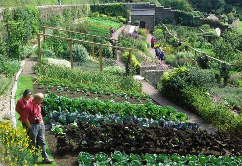 Slope Vegetable Garden, Modern Edible Garden, Hillside Vegetable Garden Sloped Yard, Hillside Vegetable Garden, Terraced Vegetable Garden, Hillside Farms, Kitchen Gardens, Hillside Garden, Gardens Of The World