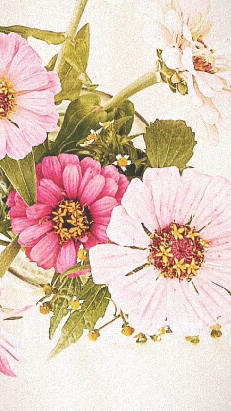 #pinkflowers Zinnia Flower Painting, Zinnia Tattoo Ideas, Zinnia Aesthetic, Zinnia Drawing, Zinnia Tattoo, Zinnia Painting, Zinnia Garden, Decoupage Printables, Botanical Drawing