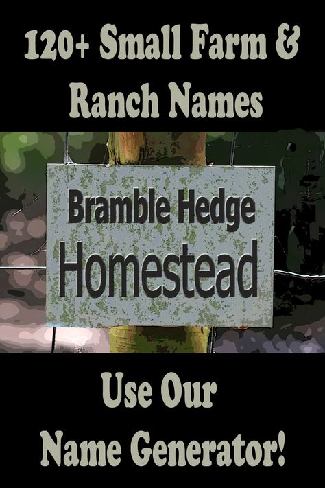 Naming Your Farm, Names For Farms, Funny Farm Names, Property Names Ideas, Farm Names Unique, Homestead Names Ideas, Farmhouse Names, Garden Names Ideas, Homestead Names