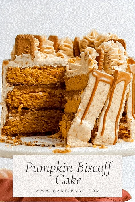 What Should I Bake, Pumpkin Biscoff, Biscoff Crust, Homemade Cookie Butter, Biscoff Buttercream, Biscoff Cake, Cherry Blossom Cake, Blossom Cake, Fall Cake Recipes