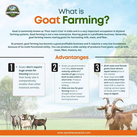 What is Goat Farming? 🐐 Goat farming, often referred to as rearing the 'Poor Man's Cow' in India, plays a crucial role in dryland farming systems. This age-old practice is a profitable and sustainable business due to the multifunctional utility of goats, including meat, milk, and fiber production. Today, goat farming requires low investment and offers high returns, making it an increasingly popular choice. Advantages of Goat Farming: Goats require less space for housing due to their small ... Goat Knowledge, Goat Showing Tips, Keeping Goats Cool In Summer, Showing Dairy Goats, Motivational Quotes In Urdu, Female Goat, Farming Business, Farming System, Pregnant Goat Care