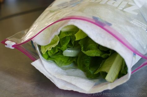 Fridge Paper, Storing Lettuce, Wilted Lettuce, Iceberg Lettuce, Leafy Vegetables, Romaine Lettuce, Paper Towels, Green Salad, Breakfast Recipes Easy