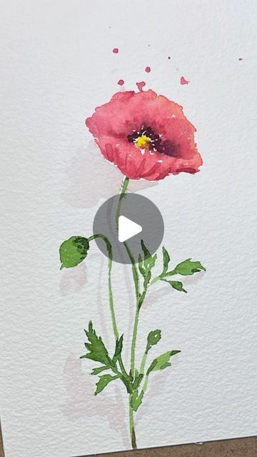 How To Paint A Poppy Watercolor, Summer Flower Watercolor, Poppy Watercolour Painting, Poppy Watercolor Tutorial, Watercolor Poppy Flower, Watercolour Poppies, Poppy Watercolor Painting, Poppy Flower Watercolor, 2023 Watercolor