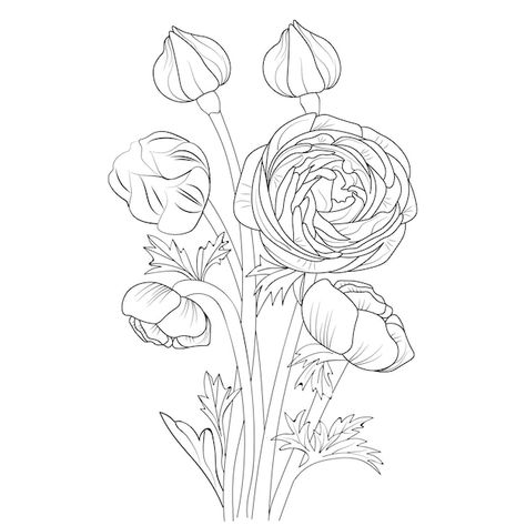 Ranunculus Flower Drawing, Ranunculus Line Drawing, Runuculous Flower Tattoo, Ranculus Flowers Tattoo, Ranunculus Flower Tattoo, Ranunculus Drawing, Flower Hand Drawing, Ranunculus Tattoo, Ranunculus Flower