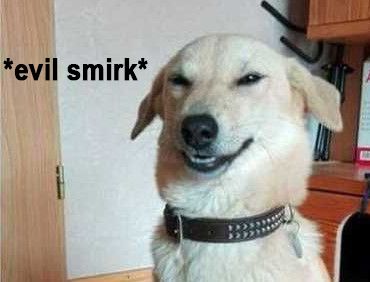 Smirk Reaction Meme, White People Jokes, Evil Smirk, Funny Dog Faces, Evil Smile, Laugh Meme, Funny Relationship Memes, Meme Stickers, Mood Humor