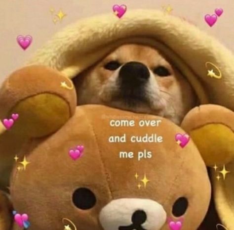 Cuddling Meme, Snap Stickers, Wholesome Pictures, Couple Memes, Snapchat Stickers, Current Mood Meme, Cute Love Memes, Snapchat Funny, Cute Messages