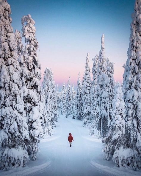 The snow season in northern Finland begins in November and lasts at least until May. In the inland regions of southern and central Finland,… Arctic Landscape, Finland Travel, Lapland Finland, Winter Magic, Winter Pictures, Best Camera, Culture Travel, Lonely Planet, Winter Wonderland