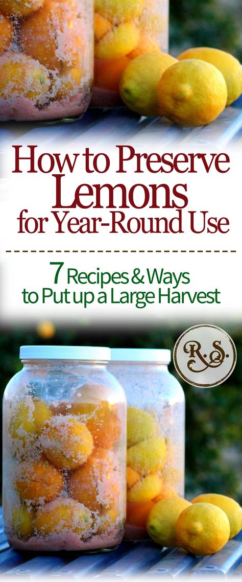 How To Preserve Lemons, Fermented Lemons, Preserve Lemons, Fresh Lemon Recipes, Fermentation Station, Preserved Lemons Recipes, Lacto Fermentation, Dried Spices, Storing Lemons