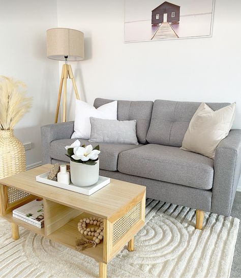 Small Grey Couch, Sofa Cushions Arrangement, Small Grey Sofa, Office Loveseat, Gray Sofa Styling, Small Apartment Sofa, Light Gray Sofas, Elements Of Interior Design, Two Seater Couch