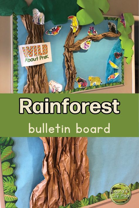 Rainforest Bulletin Board, Rainforest Display, Animal Diorama, Rainforest Preschool, Display Student Work, Rainforest Classroom, Jungle Crafts, Parent Board, Rainforest Trees