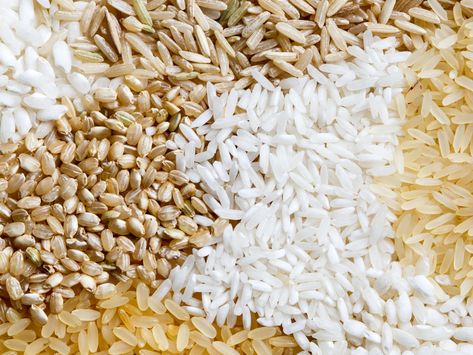 It's not a one-size-fits-all. Medium Grain Rice, Indian Rice, Rice Varieties, Food Handling, Cooking Tutorials, Long Grain Rice, Rice Grain, Cooking Guide, Food Info