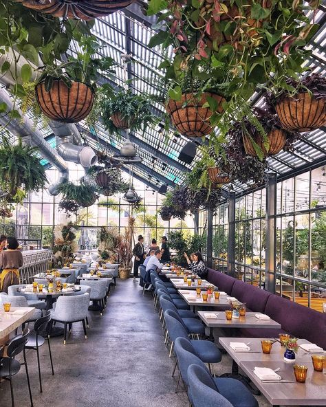 Glass Ceiling Restaurant, Restaurant Table Set Up Ideas, Secret Garden Cafe Ideas, Outdoor Restaurant Design Terraces, Conservatory Restaurant, Bakery Furniture, Conservatory Lounge, Green House Cafe, Greenhouse Bar