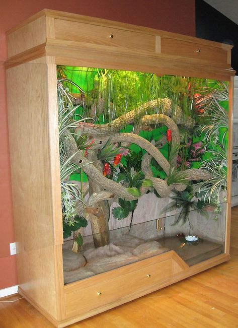 Red Tail Boa Showcase Boa Enclosure, Snake Vivarium, Python Ideas, Crested Gecko Vivarium, Reptile Tanks, Iguana Cage, Iguana Pet, Diy Terrariums, Gecko Vivarium