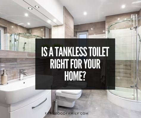 is-a-tankless-toilet-right-for-you Tankless Toilet, Tall Toilets, Traditional Toilets, Bidet Toilet Seat, Bidet Toilet, Toilet Tank, Wall Mounted Toilet, Toilet Bowl, Modern Homes