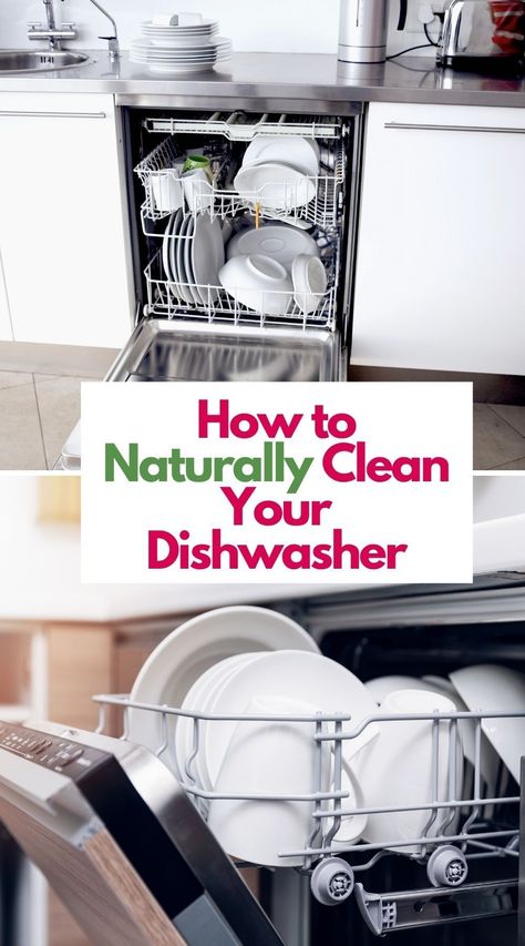 Learn How to Clean Your Dishwasher and how often you should do it. Follow these easy steps, and you’ll keep this kitchen appliance working efficiently. Tips and tricks as well as step by step instructions. Cleaning Your Dishwasher, Dishwasher Cleaner, The Dishwasher, Household Management, Deep Cleaning Tips, Dishwasher Detergent, Clean Dishwasher, Cleaning Dishes, Diy Life Hacks