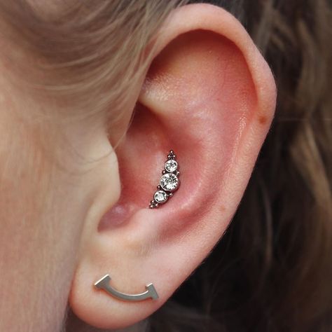 Tattoo Heroes on Instagram: “Some beautiful cluster action over here 🙌🏻 fresh Conch piercing by our body piercer @editaspark ✨ . . . . . . . #piercings #piercing…” Contra Conch Piercing, Snug And Conch Piercing Together, Orbital Conch, Outer Conch Piercing Hoop, Conch Pearl Earrings, Girly Jewelry Peircinhx Conch, Conch Piercing, Our Body, Conch