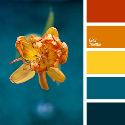 This unusually bold and unordinary color combination will look beautiful in a room with a lot of decoration elements, such as vases, decorative figurines a. Seeds Color, Orange Design, Color Palate, Design Seeds, Blue Living Room, Wardrobe Ideas, Kitchen Colors, Colour Schemes, Color Pallets