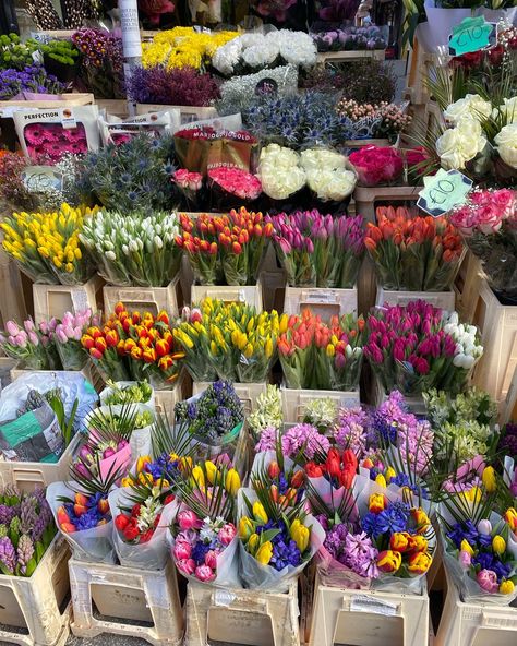 This is a stand with bunches of colourful flowers such as tulips for sale. Grafton Street, Dublin City, Nothing But Flowers, Ireland Travel, Pretty Flowers, Dublin, Flowers Bouquet, Wild Flowers, Flower Girl