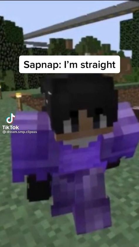 our favorite lesbian 🌈👩‍❤️‍👩�👰🏼‍♀️👰🏼‍♀️ [Video] | Mc video, Funny profile pictures, Funny gif Dsmp Pfps For Discord, Dream Yt, Dream Was Taken, Dsmp Pfp, Dream Dsmp, Dream Youtube, Mc Video, Dream Video, Minecraft Funny