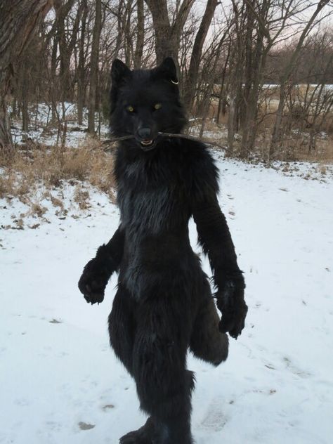 Werewolf fursuit 2 Wolf Inspired Outfits Male, Black Wolf Costume, Realistic Wolf Fursuit, Cute Werewolf Costume, Werewolf Fursuit, Realistic Wolf Mask, Bear Fursuit, Black Fursuit, Werewolf Outfit