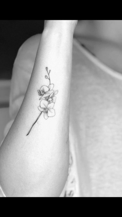 The Holy Ghost Orchid. Panamanian National Flower Cattleya Flower Tattoo, Orchid Tattoo Meaning, Cattleya Flower, Flower Tattoo Meaning, Orchid Flower Tattoos, Flower Tattoo Meanings, Orchid Tattoo, Female Tattoos, Anklet Tattoos