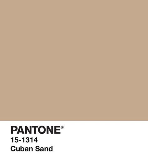 Brown Pantone, Pantone 2020, Tertiary Color, Palette Design, Color Palette Design, Colour Board, Color Stories, Pantone Color, Color Trends