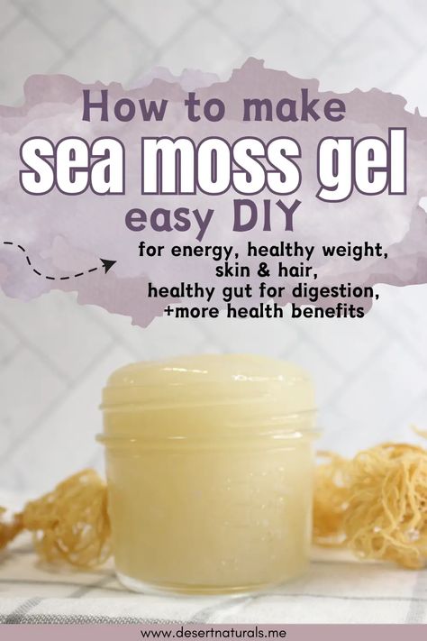 homemade jar of sea moss jgel Pineapple Sea Moss Gel Recipe, How To Make Sea Moss Gel With Fruit, Making Sea Moss Gel, Diy Seamoss Gel, Flavored Sea Moss Gel Recipe, Diy Sea Moss Gel, How To Make Sea Moss Gel, Seamoss Gel Recipes, Sea Moss Gel Recipes