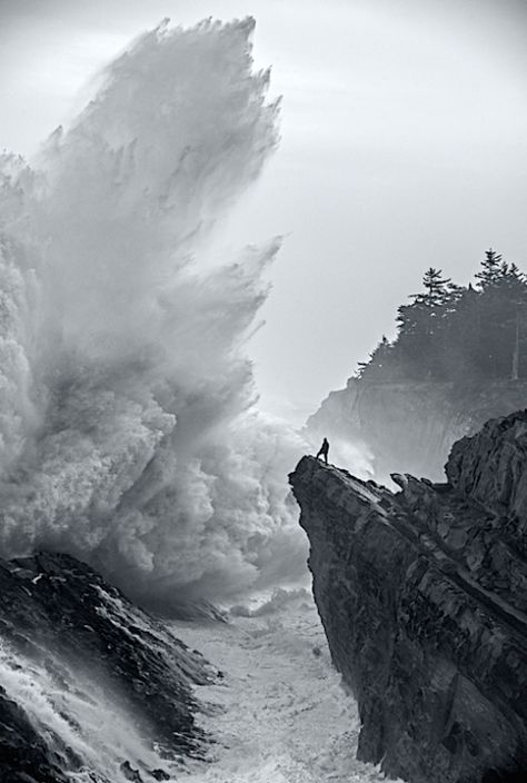 One of the most majestic pictures I have ever seen! - Imgur Feed In, Let Them, Foto Art, Black White Photos, Ocean Waves, Amazing Nature, White Photography, Black And White Photography, Beautiful World