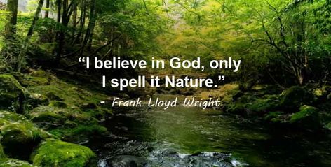 “I believe in God, only I spell it Nature.” — Frank Lloyd Wright #nature #summer #beauty #quotes #naturelovers #adventure #followme I Believe In God, God Nature, Be Patience, Nature Summer, More Quotes, Frank Lloyd, Frank Lloyd Wright, Lloyd Wright, Nature Quotes