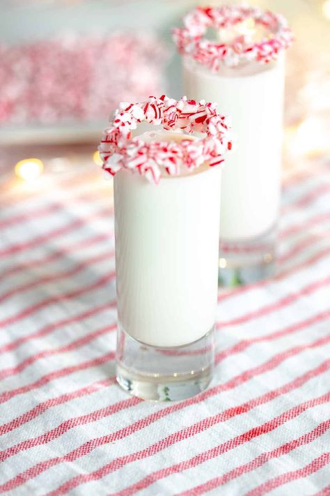 Candy Cane Shots Recipe, Candy Cane Shots, Christmas Dessert Drinks, Rumchata Drinks, Rumchata Recipes, Peppermint Vodka, Apple Cider Punch, Peppermint Coffee, Perfect Christmas Dessert