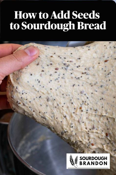 Hand pulling a seeded sourdough bread dough Wheat Sourdough Sandwich Bread, Soft Sourdough Bread, Sourdough Sandwich Bread Recipe, Seeded Bread Recipes, Sourdough Sandwich Bread, Easy Sourdough Bread Recipe, Sandwich Bread Recipe, Recipe Using Sourdough Starter, Whole Wheat Sourdough