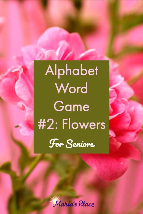 Alphabet Games For Adults, Flower Games Party, Spring Games For Seniors, Spring Activities For Senior Citizens, April Senior Activities, Flower Party Games, Spring Activities For Seniors, Spring Games For Adults, April Activities For Seniors