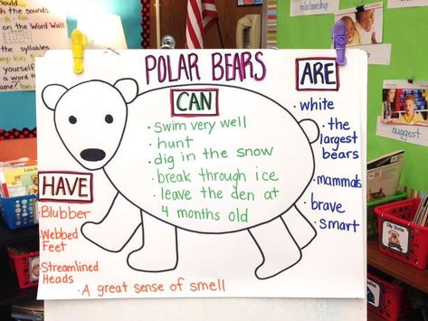 Polar Bear Anchor Chart Polar Bear Writing, Polar Bears Preschool, Polar Bear Unit, Polar Bears Activities, Arctic Animals Preschool, Bears Preschool, Explanatory Writing, Animals Jokes, Penguins And Polar Bears