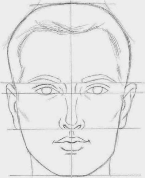 Drawings: ADULT FACIAL PROPORTIONS Human Head Drawing, Drawing Lessons For Beginners, Basic Drawing Techniques, Human Face Sketch, Face Proportions Drawing, How To Draw Face, Basic Drawing For Kids, Human Face Drawing, Basic Sketching