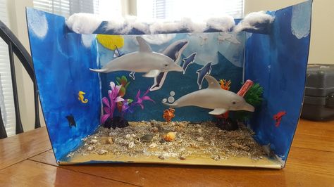 Dolphin habitat diorama 2nd grade Diorama School Projects, Ocean Habitat Diorama, Diorama Template, Habitat Diorama, Dolphin Habitat, Ocean Diorama, Diorama Kids, Habitats Projects, Ocean Habitat