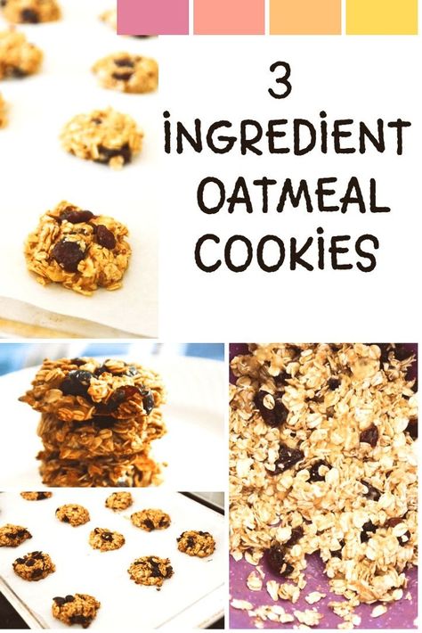 Looking for a sweet treat that's both healthy and delicious? Look no further than 3 Ingredient Oatmeal Cookies! Quick and easy to make, these cookies are made with just three simple ingredients - bananas, oats, and dried cranberries. 3 Ingredient Banana Cookies, Banana Oatmeal Breakfast Cookies, Banana Oat Cookies, Easy No Bake Cookies, 3 Ingredient Cookies, Oatmeal Breakfast Cookies, Healthy Oatmeal Cookies, Banana Oatmeal Cookies, Banana Cookies