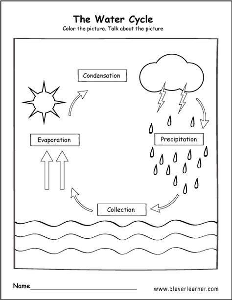 Printable water cycle worksheets for preschools Water Cycle Anchor Chart, Water Cycle Craft, Water Cycle Model, Water Cycle For Kids, Water Cycle Poster, Rain Cycle, Water Cycle Project, Water Cycle Diagram, Water Cycle Activities