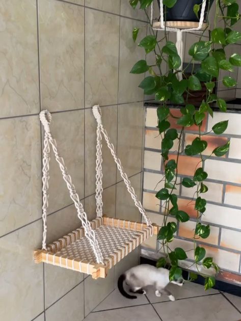 Diy Hanging Cat Basket, Diy Cat Hanging Bed, Crochet Cat Hammock, Cat Macrame, Diy Cat Hammock, Cat Tree Designs, Macrame Cat Hammock, Pet Bunny Rabbits, Dog Hammock