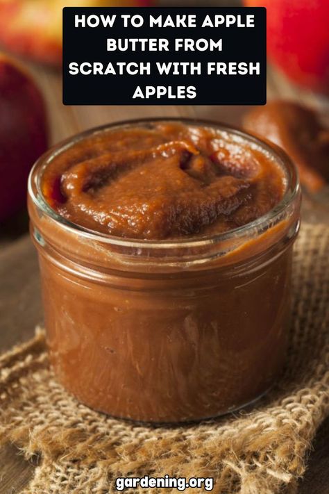 Discover the satisfaction of making your own apple butter from scratch with the help of fresh, seasonal apples. Get started now! Apple Butter Recipe Canning, Homemade Apple Butter Recipe, Apple Butter Uses, Make Apple Butter, Butter From Scratch, Apple Butter Recipe, Homemade Apple Butter, Homemade Jelly, Canning Tips