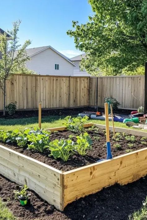 Discover how to craft your own DIY raised garden bed to boost your gardening space. This guide provides easy-to-follow steps and essential materials for a successful build. Perfect for beginners and seasoned garden enthusiasts alike, a raised garden bed offers improved soil drainage, pest protection, and more controlled growth conditions for your plants. Learn how to choose the right location, materials, and designs suited for your garden needs. Transform your gardening experience by raising your planting area with these simple tips. Corner Raised Garden Beds Diy, Best Wood For Raised Garden Beds, Diy Raised Garden Bed, Plant Beds, Sustainable Tips, 2025 Prayer, Garden On A Budget, Bed Steps, Diy Raised Garden