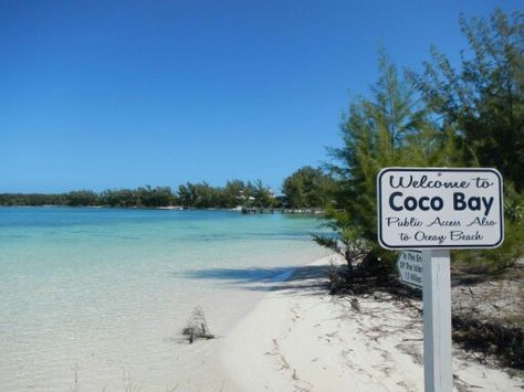 Coco Bay Beach Amazing Places, Bahamas, Highway Signs, The Good Place, Coco, Water