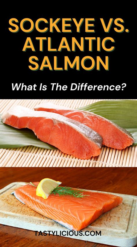 difference between sockeye and Atlantic salmon | sockeye vs atlantic salmon taste | sockeye vs atlantic salmon nutrition | refreshing spring recipes | quick lunch recipes | dinner ideas | easy dinner recipe | healthy dinner recipe Wild Sockeye Salmon Recipes Baked, Alaska Sockeye Salmon Recipes, Sockeye Salmon Recipe Grilled, How To Cook Sockeye Salmon, Wild Alaskan Sockeye Salmon Recipes, Alaskan Sockeye Salmon Recipes, Wild Caught Sockeye Salmon Recipes, Sock Eye Salmon, Smoked Sockeye Salmon Recipes