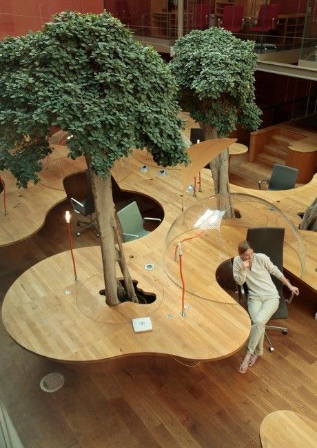 Natural Office Design, Fitness Center Design, Natural Office, Commercial And Office Architecture, Modern Office Space, Sacred Architecture, Modern Office Design, Indoor Gardens, Workspace Inspiration