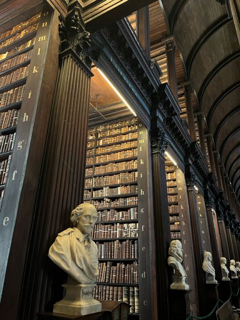 Dublin, Ireland, trinity college Library Of Trinity College Dublin, Dublin University Aesthetic, Trinity Dublin Aesthetic, College In Ireland, Ucd Dublin Aesthetic, Study Abroad Aesthetic Ireland, Trinity College Dublin Aesthetic, Galway Ireland Aesthetic, Ucd Dublin