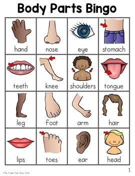 Best 12 Body Parts Bingo Game By The Kinder Kids 7E4 Body Parts Theme, Body Parts Preschool Activities, Body Parts For Kids, Body Preschool, Body Parts Preschool, All About Me Preschool, English For Kids, English Lessons For Kids, Parts Of The Body