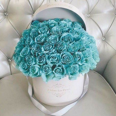 Tiffany roses !!!! Animals Geometric, Embroidery Animals, New Embroidery, Luxury Flowers, Aqua Turquoise, Beautiful Rose Flowers, Blue Roses, Tiffany Blue, Flower Boxes