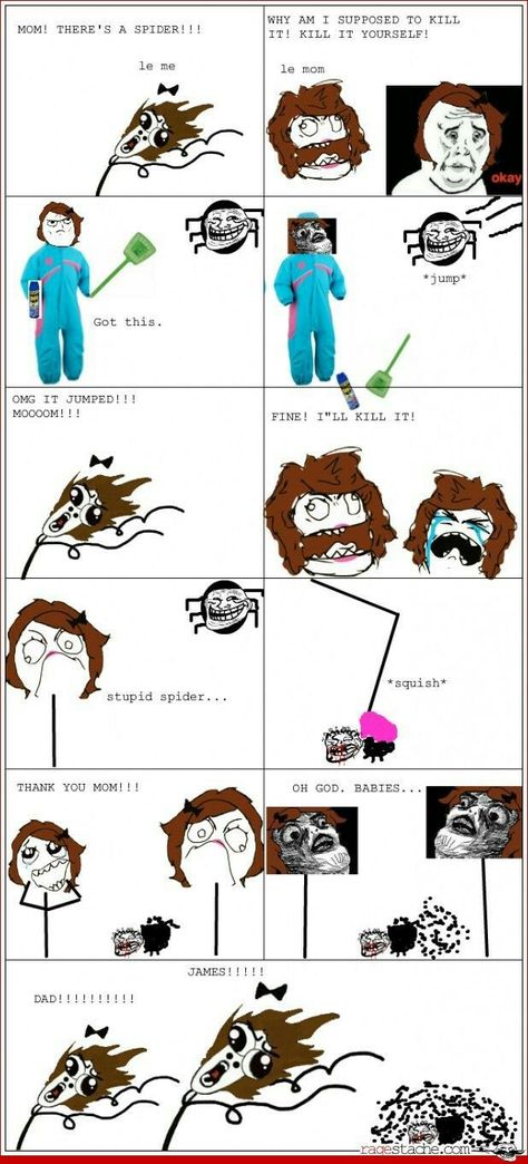 Wolf Spiders, Derp Comics, 4 Panel Life, Meme Comics, Rage Comics, Memes Hilarious, Comics Memes, Laughing So Hard, Funny Pins